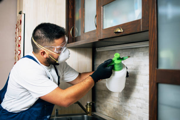 Best Flea Control Services  in Westvle, IL