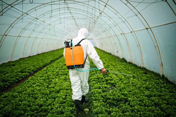 Best Affordable Pest Control Services  in Westvle, IL