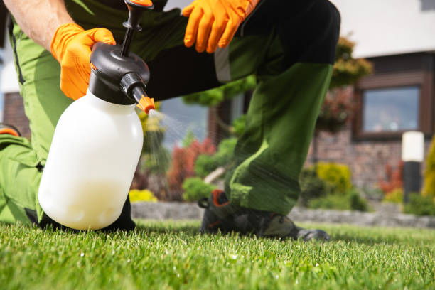 Best Spider Control Near Me  in Westvle, IL