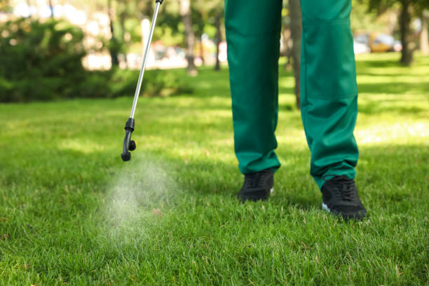 Best Best Pest Control Companies  in Westvle, IL