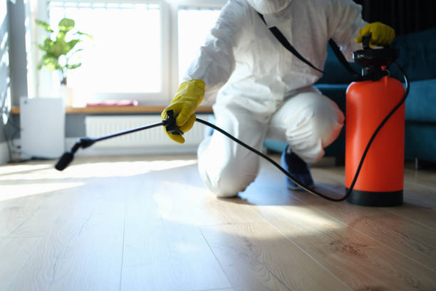 Wasp Removal Services in Westville, IL