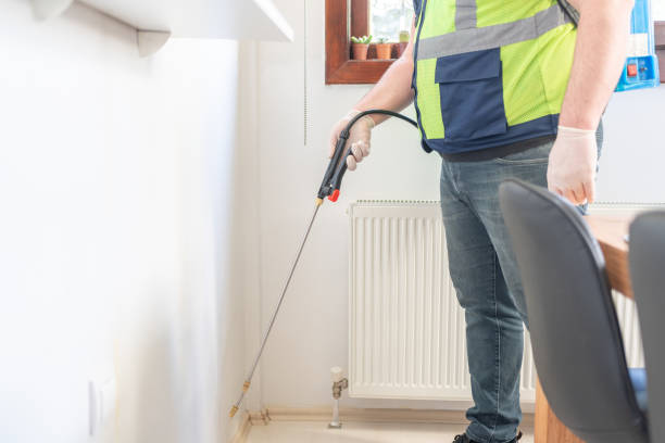 Best Flea Control Services  in Westvle, IL