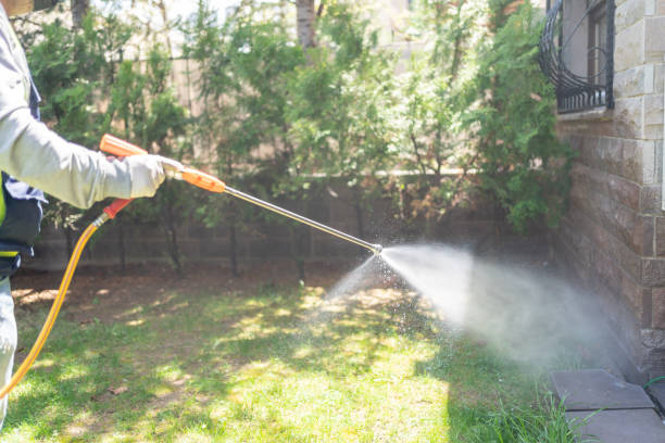Best Pest Control Treatment  in Westvle, IL