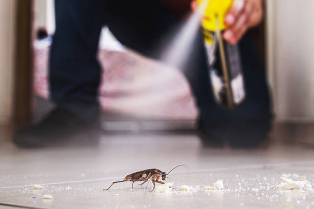 Best Pest Inspection Near Me  in Westvle, IL