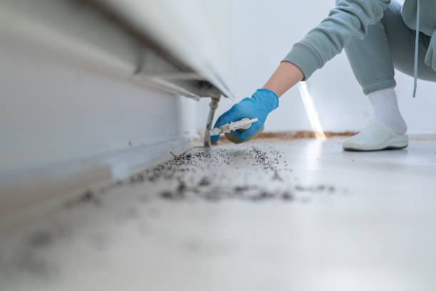 Best Mosquito Control Services  in Westvle, IL
